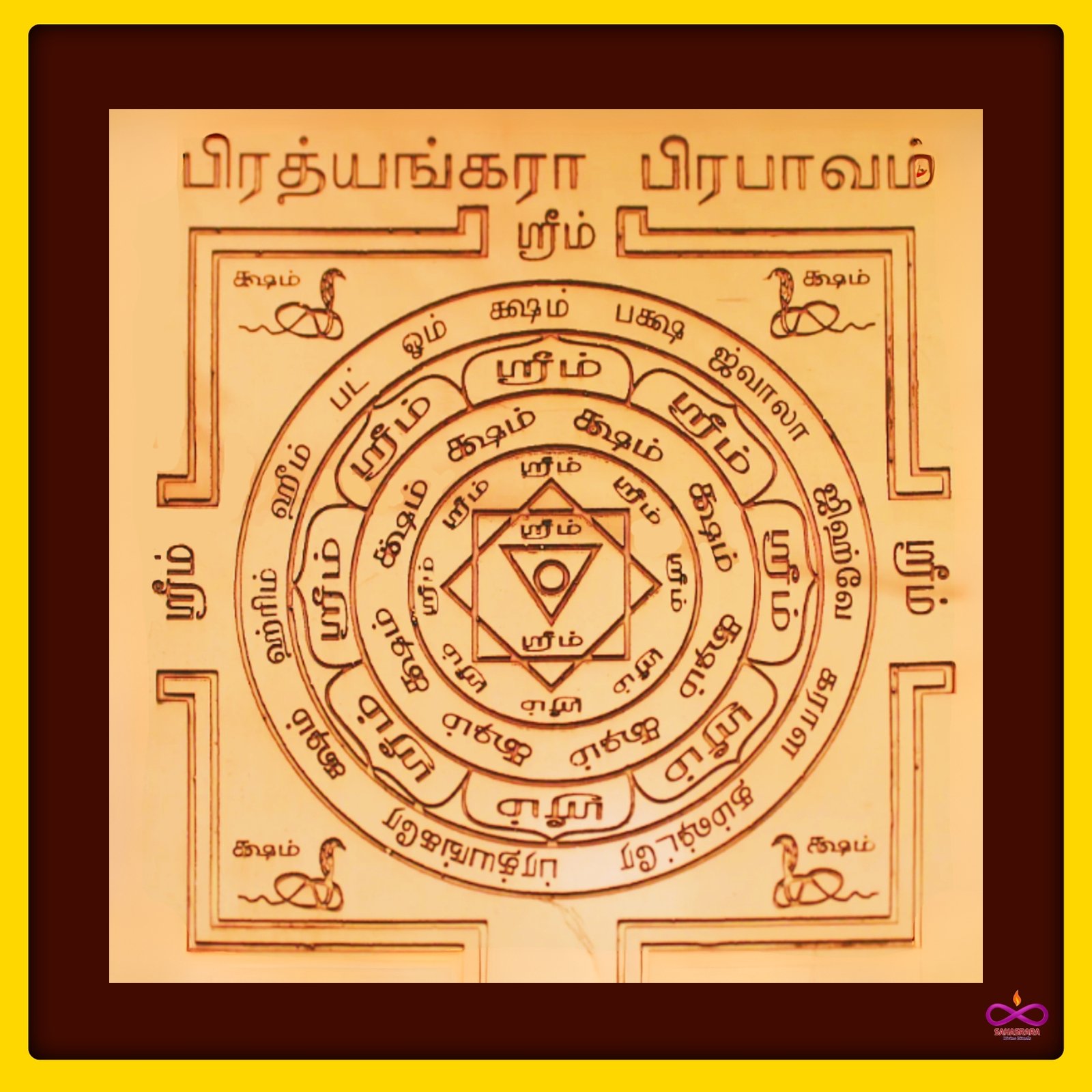 SDRPROD7911 - 1764243170.jpg